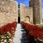 IMG_2726 tarraco